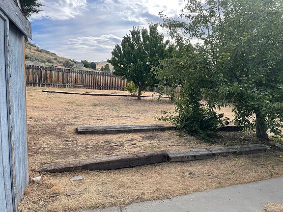 Large and fenced back yard with fruit trees and a storage shed.