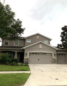 32502 Summerglade Dr, Wesley Chapel, FL, 33545