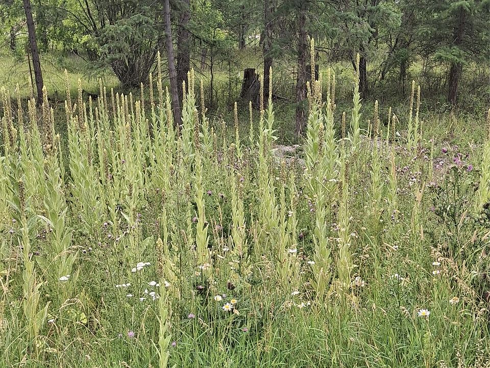 1st image of 302 Skookum Rd Lot 12