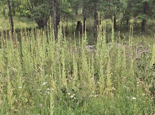 302 Skookum Rd LOT 12, Lakeside, MT 59922