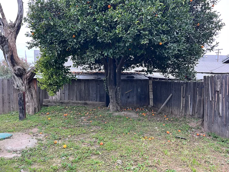 327 Hosmer Ave — Photo 12
