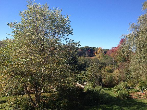 Beginning of Autumn from the back deck