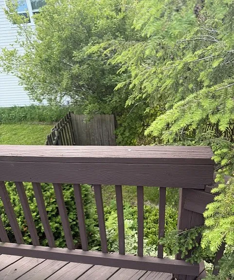 34186 Gail Dr — Photo 21