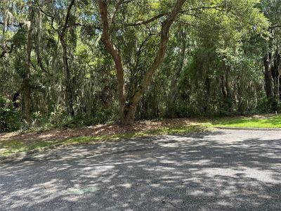 9550 Spring Blossom Ln, Fernandina Beach, FL, 32034