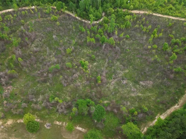 LOT 1 0 County Rd #351, Maplesville, AL 36750