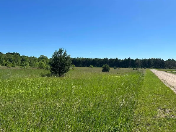 260 Kyle Dr NE, Kalkaska, MI 49646