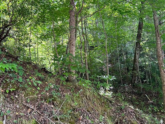 3rd image of Lot 77 Fires Creek Cove LOT 77