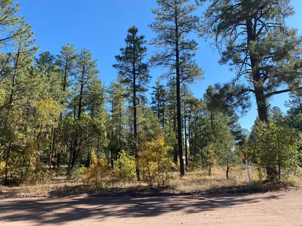 7 Willow Run, Lakeside, AZ 85929