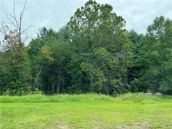 340 Lumber Plant Rd #5.76, Lowgap, NC 27024