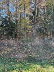 LOT 24 Tin Mine Rd, Lincolnton, NC, 28092