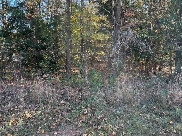 LOT 24 Tin Mine Rd, Lincolnton, NC 28092