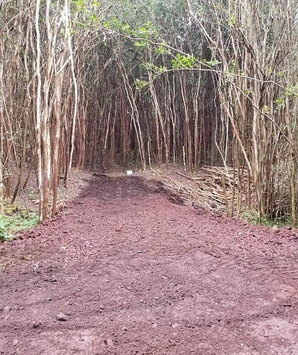 1st image of Lanai St Lot 606