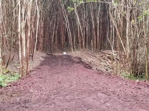 Lanai St Lot 606, Pahoa, HI 96778