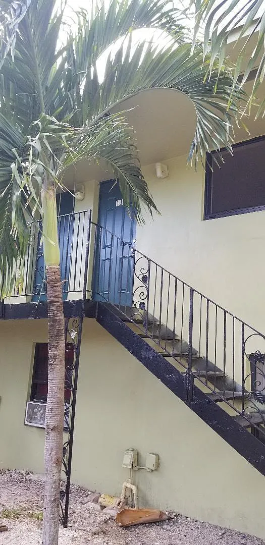 Studio, 1.0 bath, 450 sqft, $1,290 — Photo 3