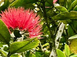 Molokai Rd LOT 323, Pahoa, HI 96778