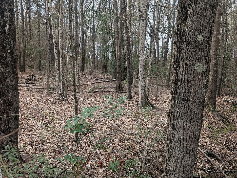 2nd image of 0 County Road 3427