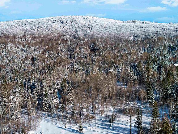 4th image of 848 Diamond Pond Road