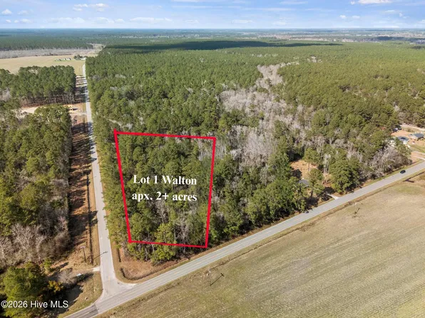 Lot 1 Page Rd (Walton) Court, Burgaw, NC 28425