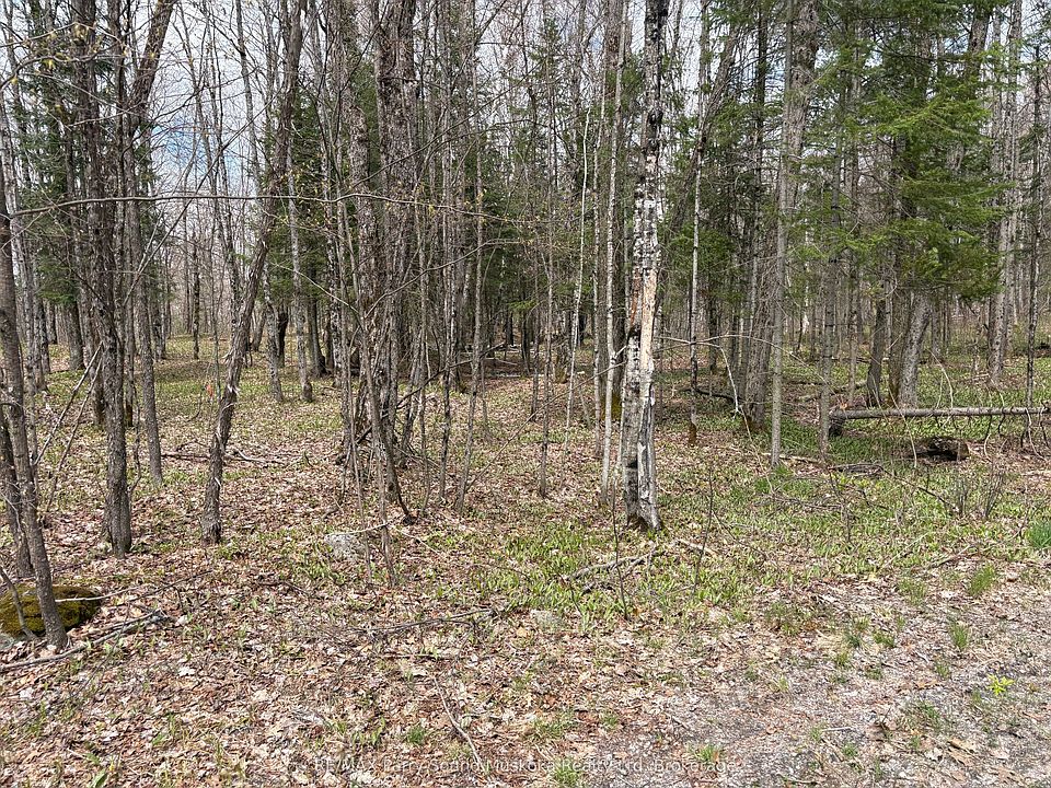 1st image of 0 Dauncey Rd
