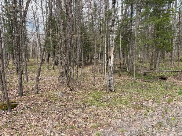 0 Dauncey Rd, Magnetawan, ON P0A 1P0