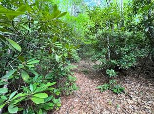 000 Mining Town Rd, Mountain City, TN 37683