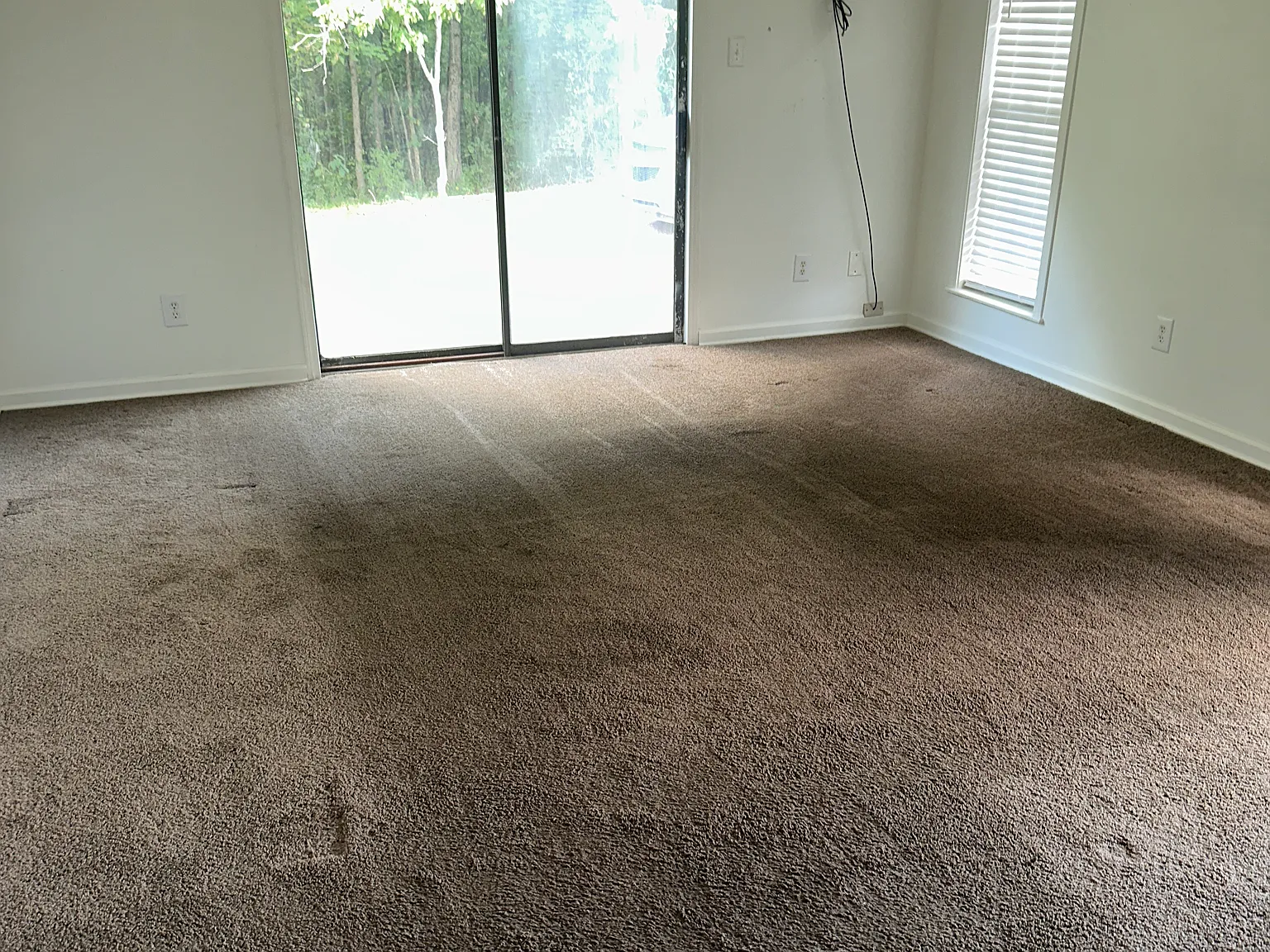 2 bed, 1000 sqft, $800 — Photo 2