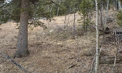 For Sale: 652 Lakeview Rd, Bailey, CO 80421