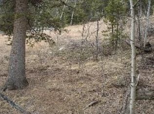 652 Lakeview Rd, Bailey, CO 80421