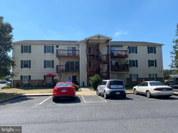 1282 Ox A11 Rd, Woodstock, VA 22664