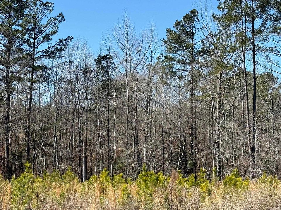 2nd image of Hempstead #18