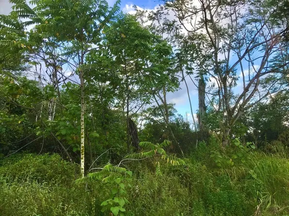 Alapai St Lot 44, Pahoa, HI 96778