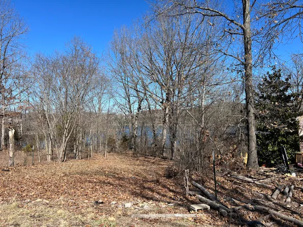 17 Newton Road, Ridgedale, MO 65739