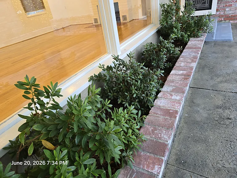 View looking into living room area with mature self watering flower beds
