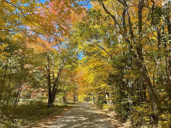 1100 Cavendish Gulf Rd, Cavendish, VT 05142