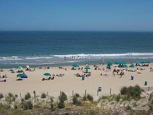 Harrington Towers View