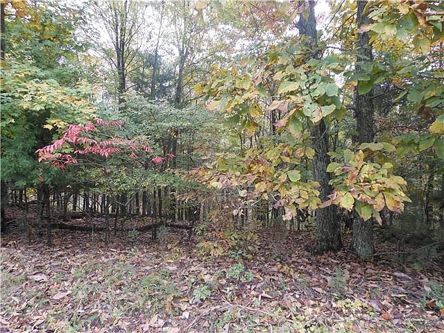 1st image of 0 Barefield Ct Lot 61