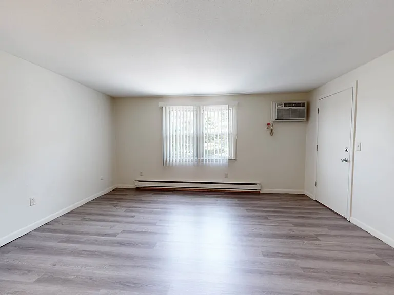 Studio-Beautiful new luxury vinyl plank floors!