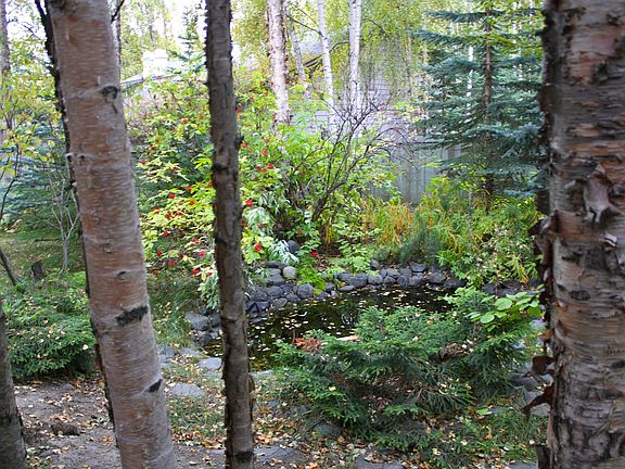 secluded back yard