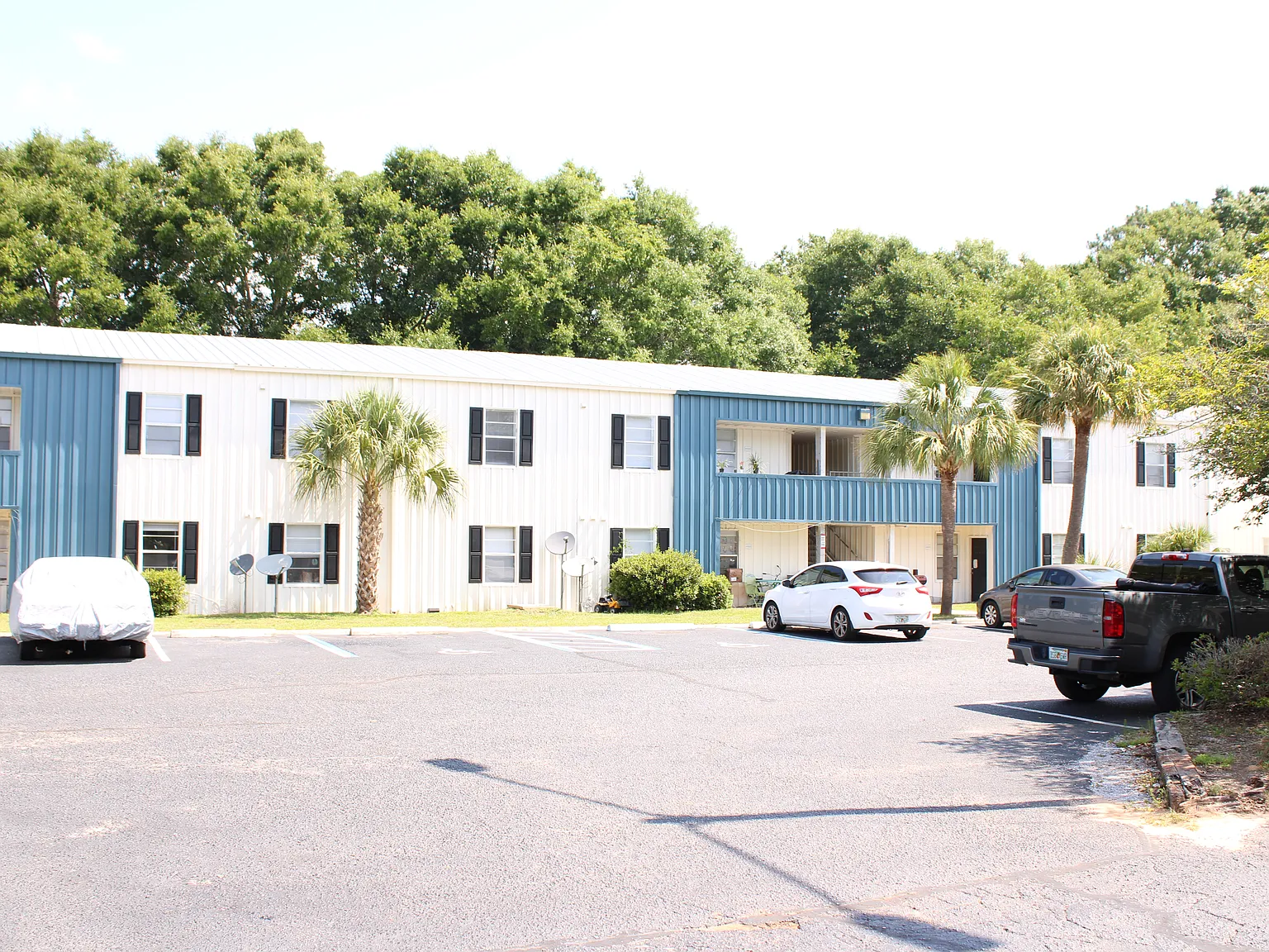 Willow Tree Apartments — Photo 3