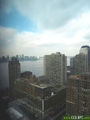 Rented by CCG Real Estate Brokerage | media 31