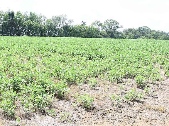 5th image of Off Pcr 914 Lot 16