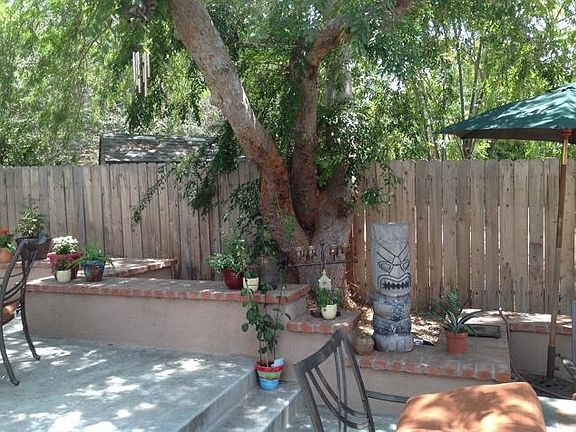 Shaded Backyard Area with Trees and Greenery