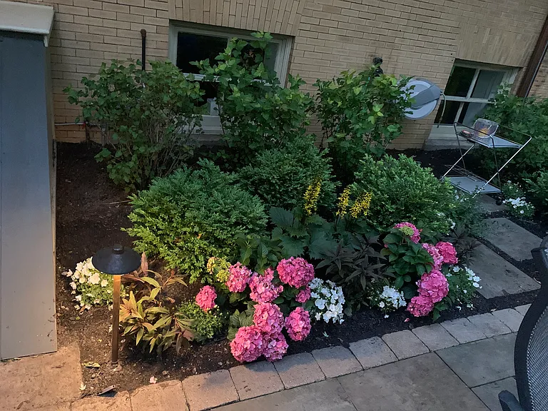 landscaped Patio behind main house and apartment