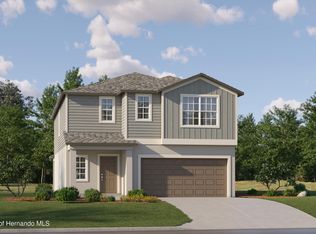 17635 Happytrails St, Land O Lakes, FL 34638