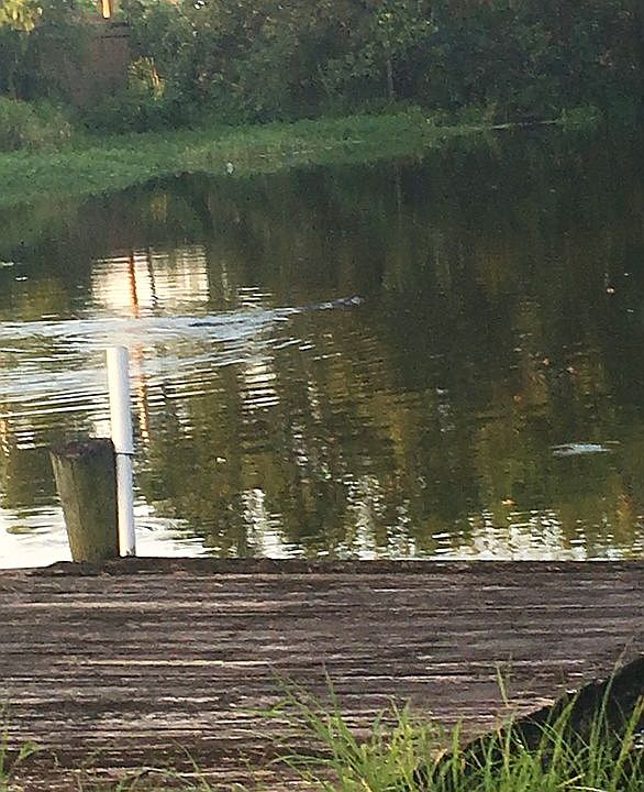 99 Parc Promenade, Vacherie, LA 70090 Zillow