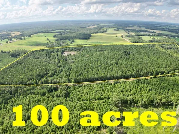 0 Barnes Rd, Gordon, AL 36343