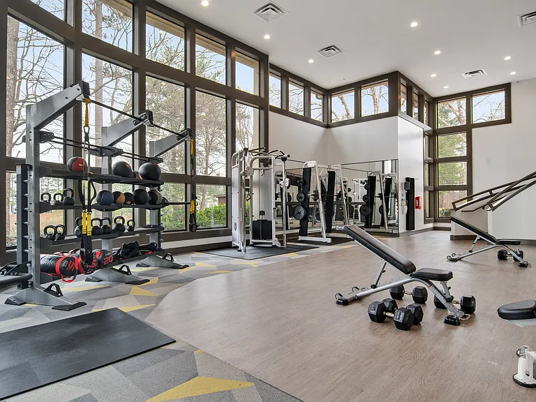 Free Weights