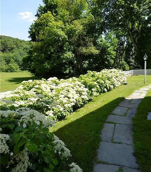 115 River Rd — Photo 32