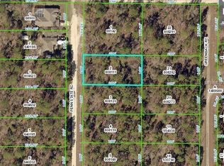 16472 Penn State Rd, Weeki Wachee, FL 34614