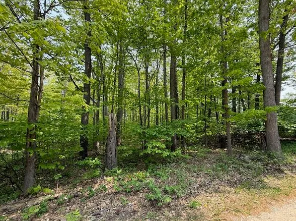 43 & 44 Jackson Blvd, Roscommon, MI 48653